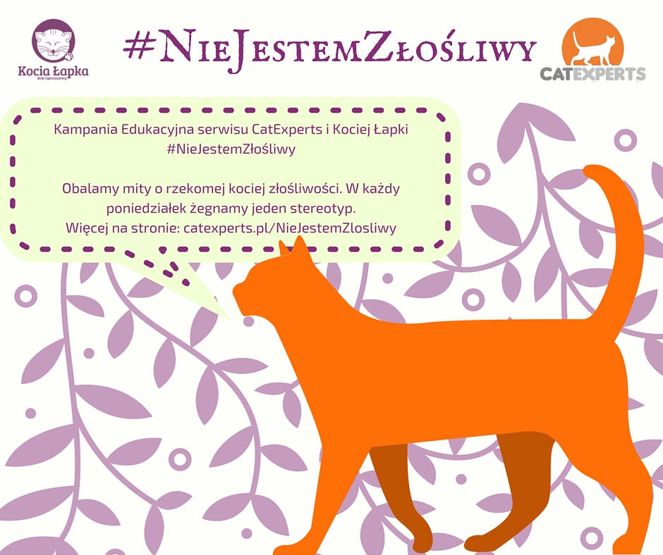 #NieJestemZlosliwy Kampania Edukacyjna CatExperts i Kociej Łapki