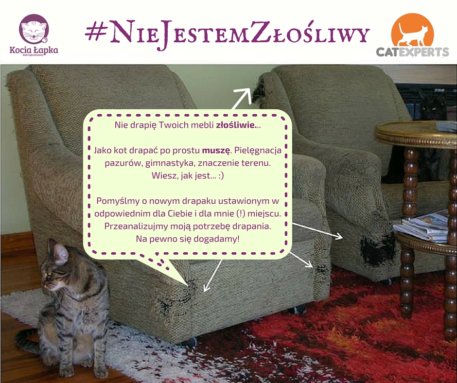 #NieJestemZłośliwy-DrapanieMebli